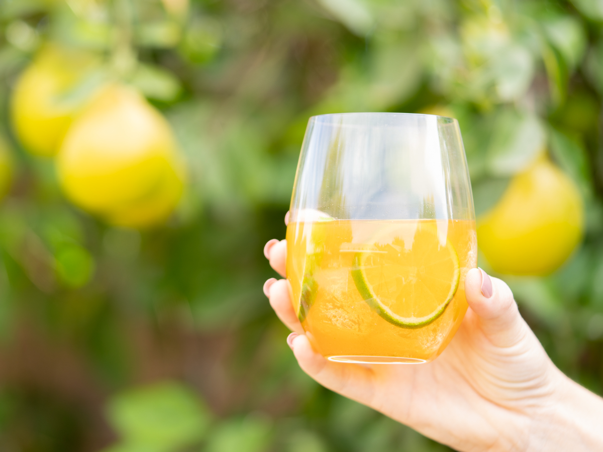 Cleanse For Life Intermittent Fasting And Cleanse Day Support Drink Isagenix Outside of the united states, aloe is considered a fast and effective remedy for gastrointestinal complaints. cleanse for life intermittent fasting